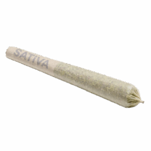 Preroll Sativa