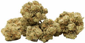 Weed Buds