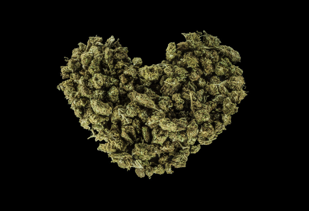 Smart tips, local insight, and stress-free cannabis shopping in San Jose/Francisco.